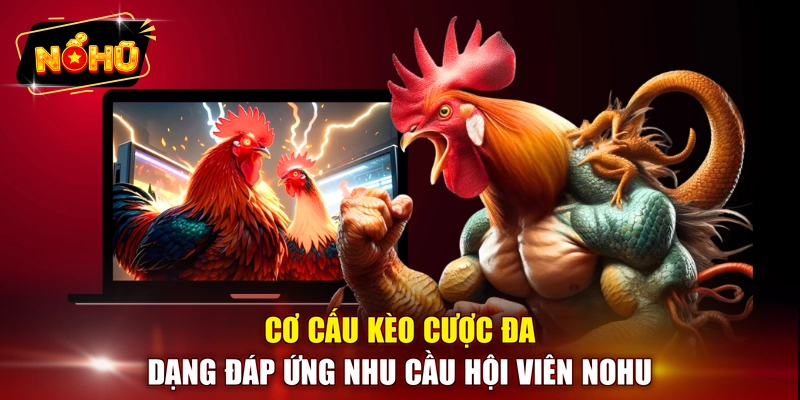 Cơ cấu kèo cược đa dạng đáp ứng nhu cầu hội viên NOHU